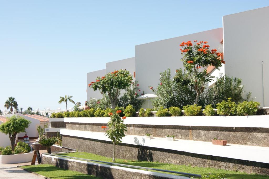Island Village Playa de las Americas  Exteriér fotografie